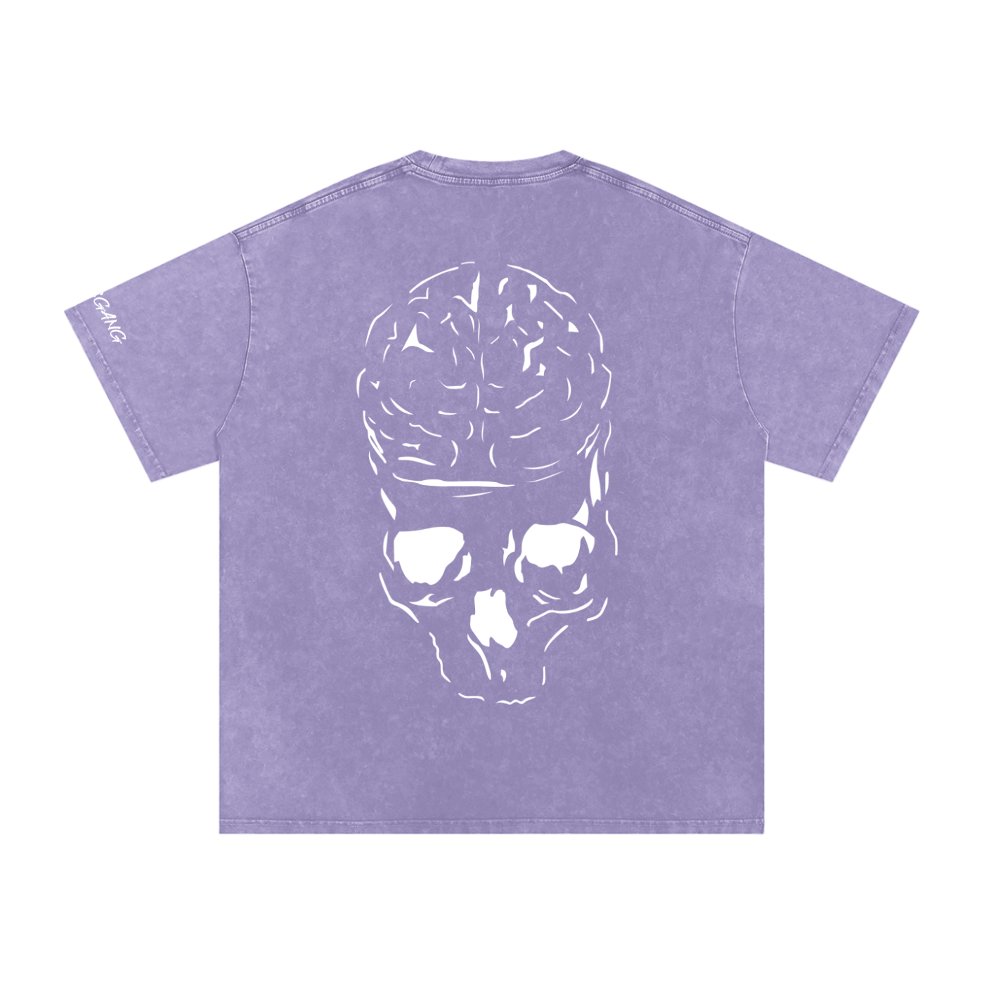 RAW MIND ENT. (Snow Washed Oversized Cotton T-Shirt)