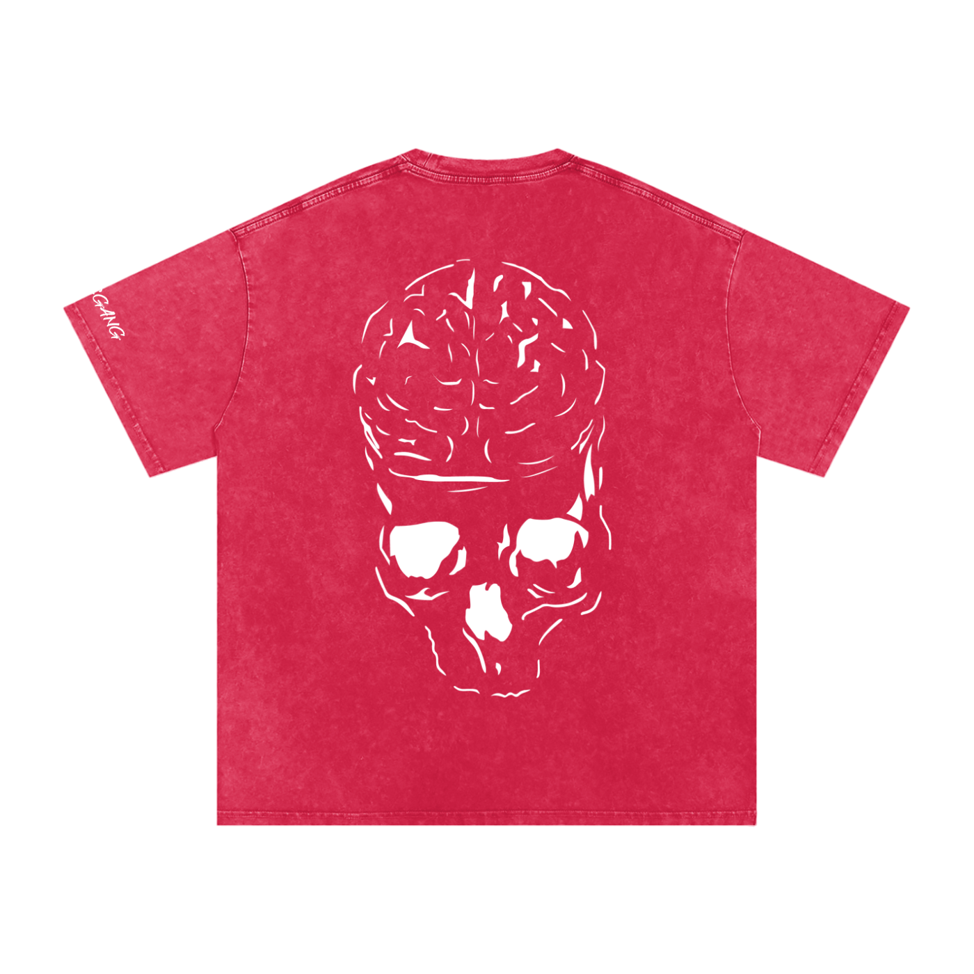 RAW MIND ENT. (Snow Washed Oversized Cotton T-Shirt)