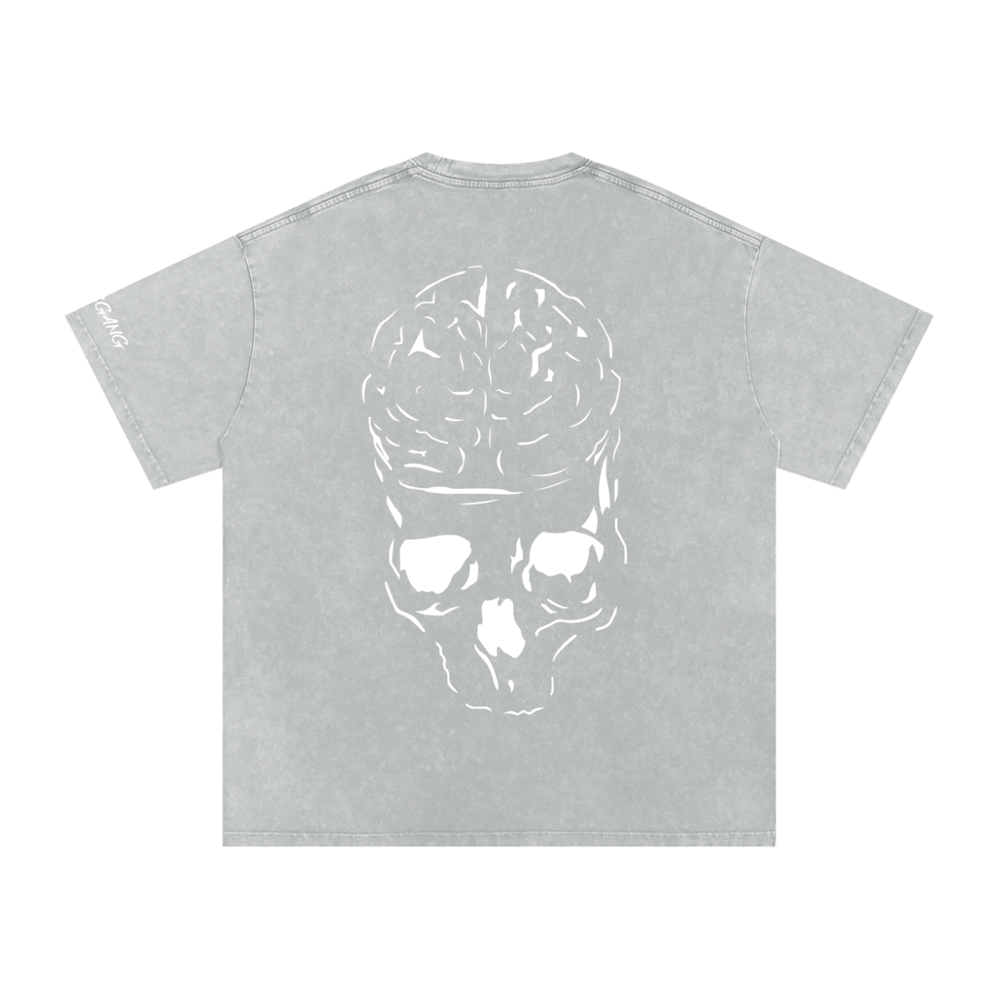 RAW MIND ENT. (Snow Washed Oversized Cotton T-Shirt)