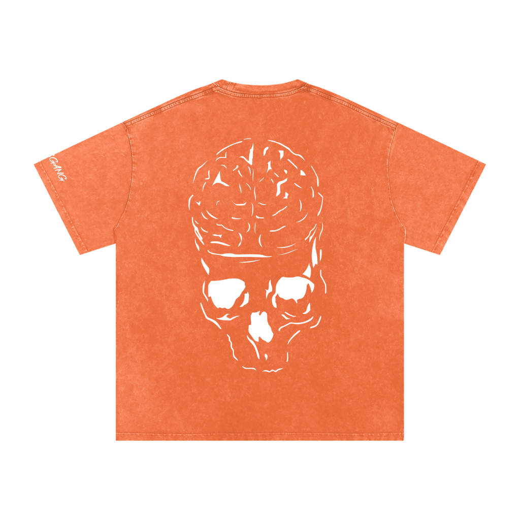 RAW MIND ENT. (Snow Washed Oversized Cotton T-Shirt)