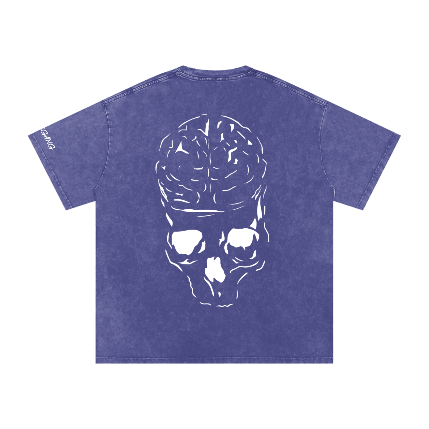 RAW MIND ENT. (Snow Washed Oversized Cotton T-Shirt)