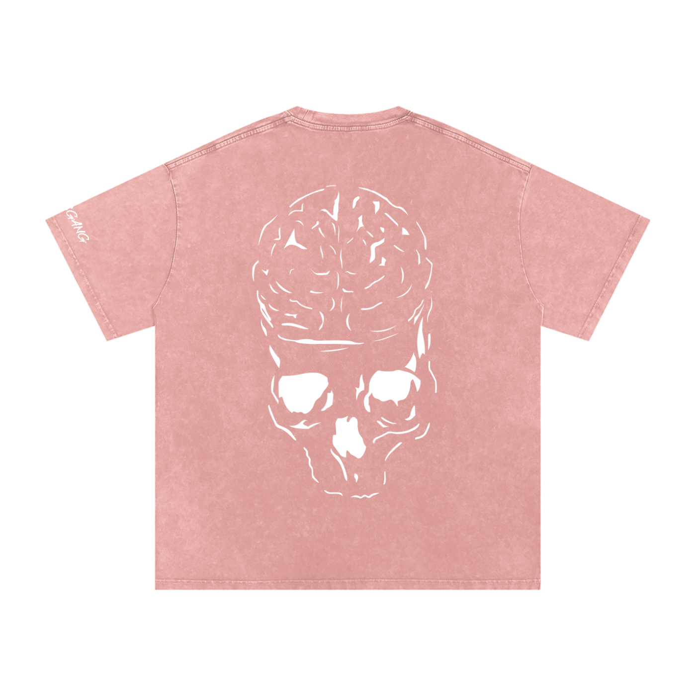 RAW MIND ENT. (Snow Washed Oversized Cotton T-Shirt)