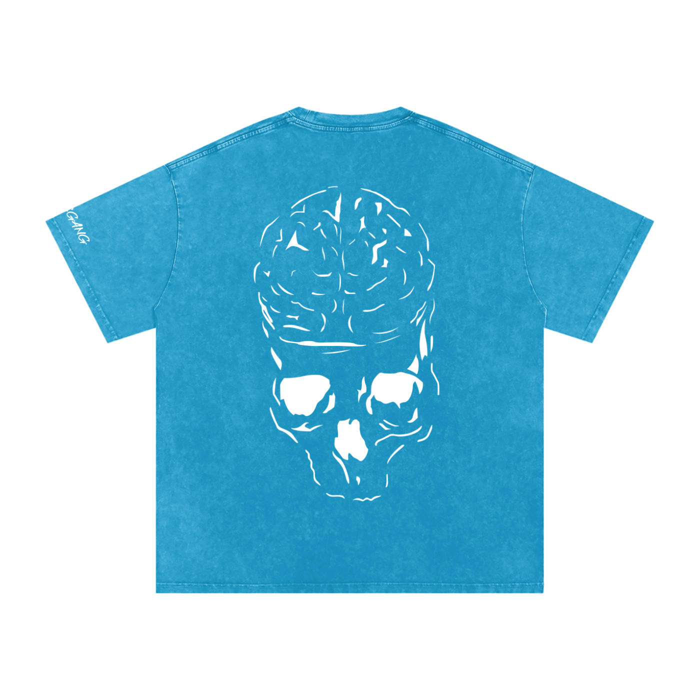 RAW MIND ENT. (Snow Washed Oversized Cotton T-Shirt)